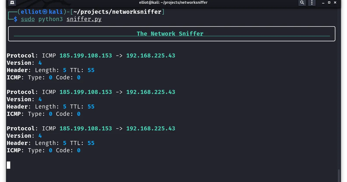 NetworkSniffer